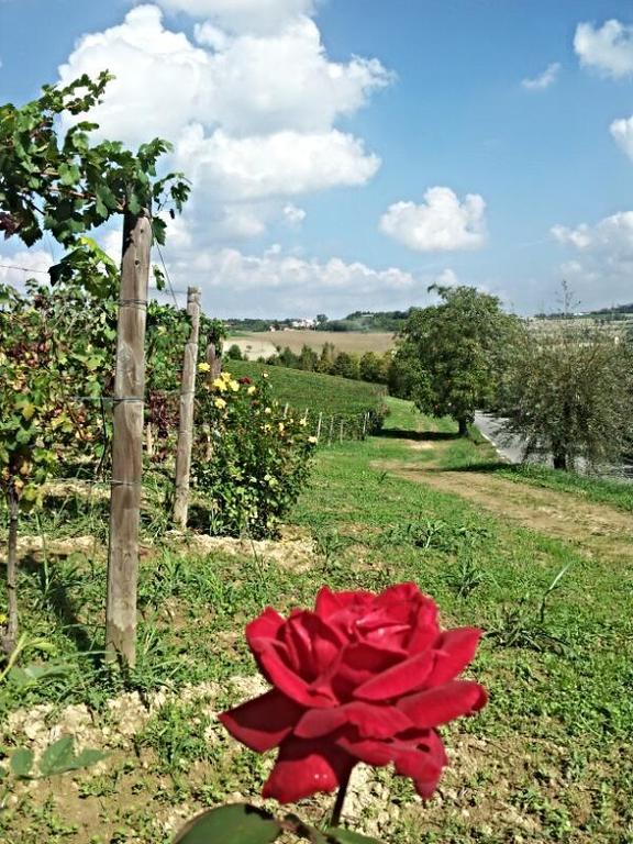 B&B Vigneto Pardom Montiglio Exterior foto