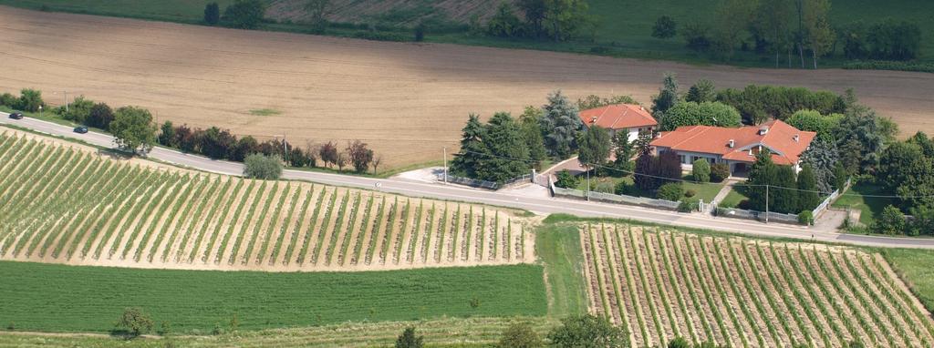 B&B Vigneto Pardom Montiglio Exterior foto